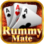 rummy model game icon