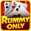 rummy cue