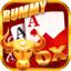 rummy hola