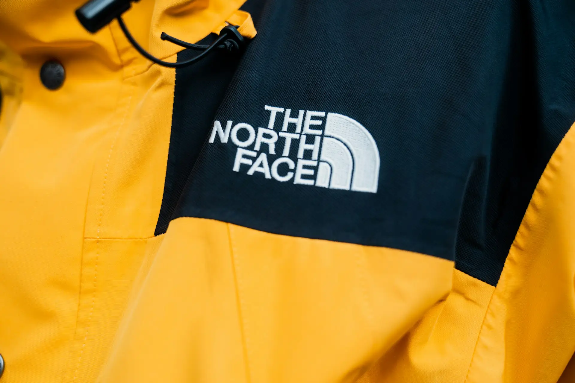 Logotipo de The North Face